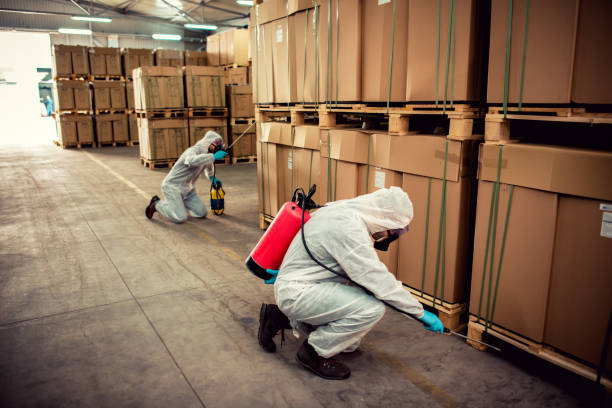Best Residential Pest Control  in Ramona, CA