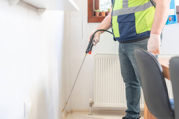 Best Termite Control Services  in Ramona, CA