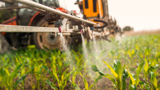 Best Ant Control Services  in Ramona, CA