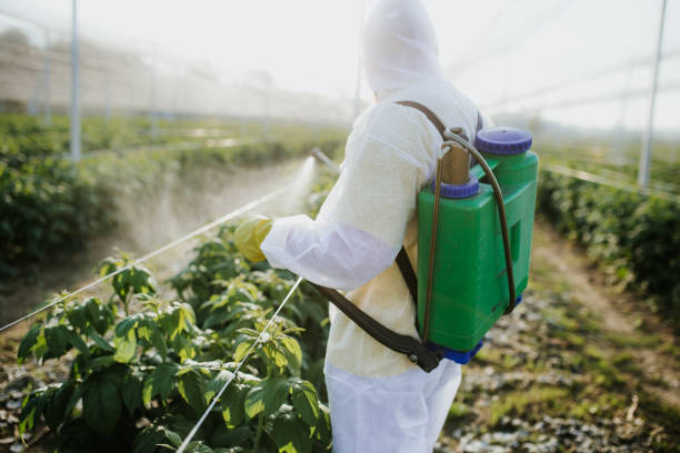 Pest Control Cost in Ramona, CA